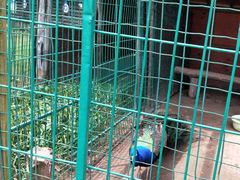 -明珠湖天鹅苑·农家菜馆