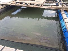 -海上驿站渔家菜馆