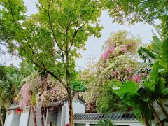 -深圳国际园林花卉博览园