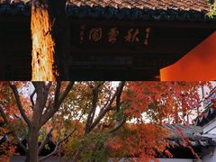 -秋霞圃
