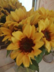 -本真坊美容美体沙龙