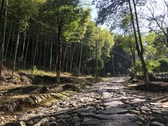 -仙霞关景区
