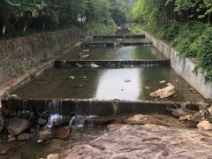 -广州白江湖森林公园