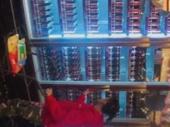 -星汇纯K量贩式KTV(卜蜂中心店)