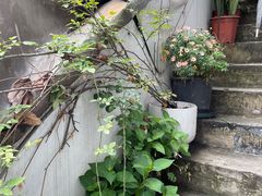 -知物癖(牛王庙店)
