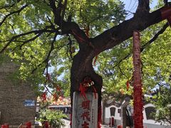 -杨家埠民间艺术大观园