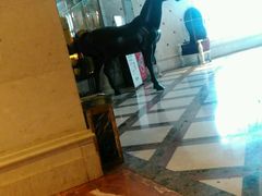 -牧歌商务公馆(南门店)