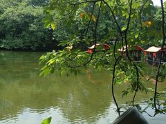 -侨美·唐荔园·40年地道粤菜