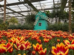 -南宫五洲植物乐园