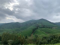 -帐篷客·溪龙茶谷度假酒店