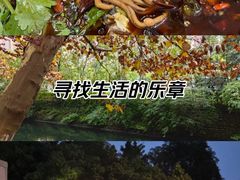 -杨柳河(地铁站)