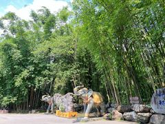 -云南勐巴娜西珍奇园