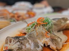 清蒸老虎斑-娱筷海鲜酒家(广州南沙店)