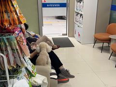 -申普宠物医院·心脏介入·心血管微创(总院)