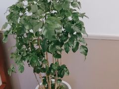 -有位虾匠·香辣蟹·小龙虾(李村店)