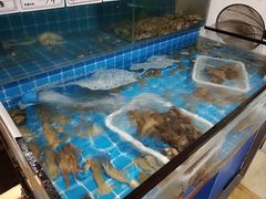 -锅老头铁锅炖•大锅蒸汽海鲜(韩乐坊店)