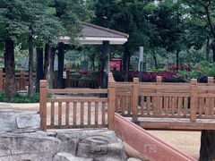 -荔湾区儿童公园