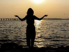 -宝安西湾红树林湿地公园