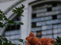 -天津意大利风情旅游区