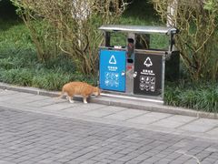 -龙头寺公园