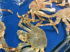 -三亚火车头万人海鲜广场