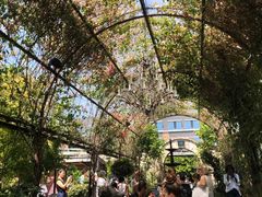 -The Grounds of Alexandria
