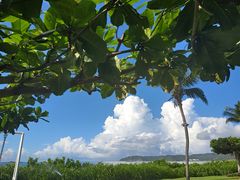 -三亚亚龙湾天域度假酒店