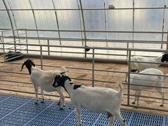 -四川农业大学(雅安校区)