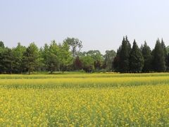 -北坞公园