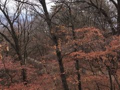 -九鼎铁刹山风景区