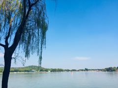 -上海月湖雕塑公园