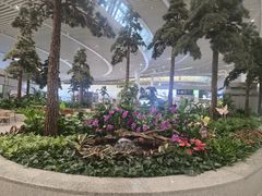 -青岛胶东国际机场
