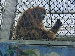 -西安秦岭野生动物园