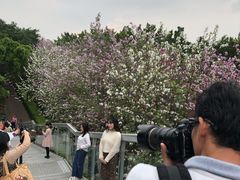 -南宁南湖公园