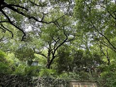 -宁波市保国寺古建筑博物馆