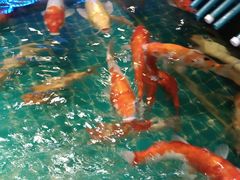 -永旺梦乐城(金银潭店)
