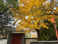 -阳台山自然风景区