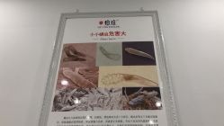 -痘庄·科学祛痘领跑品牌