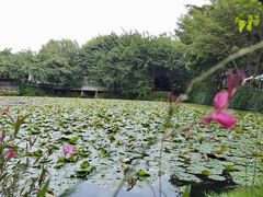 -巴山一绝烤全羊(三圣乡刘家花园店)