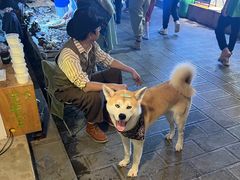 -大青树咖啡(大理古城店)