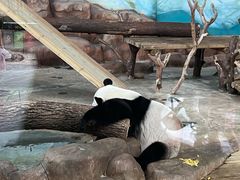 -南宁市动物园