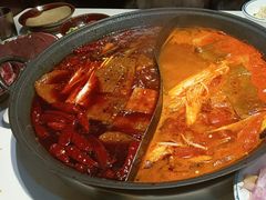 -卤校长老火锅(杨家坪直营店)