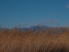 -野鸭湖国家湿地公园