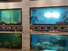 -阳光码头海鲜火锅(世纪大道店)