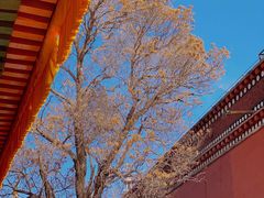 -塔尔寺