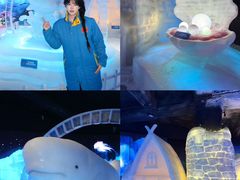 -海合安成都极地海洋公园