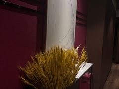 -悠悦MASSAGE&SPA(恒大广场店)