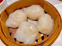 -同乐轩港式早茶