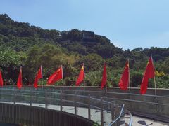-福道