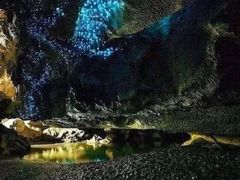 -怀托摩萤火虫洞